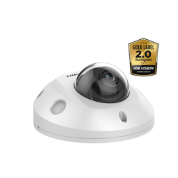 Hikvision DS-2CD2546G2-IS Wit