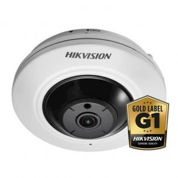 Hikvision DS-2CD2955FWD-I Wit